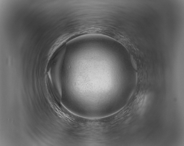 X0000052600242200507011204