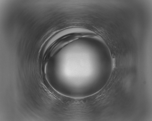 X0000052600243200507011204
