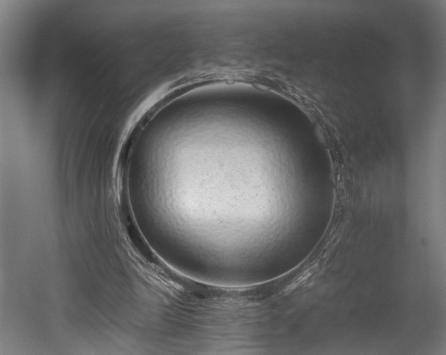 X0000052600246200507011204