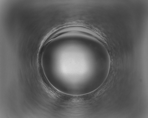 X0000052600248200507011204