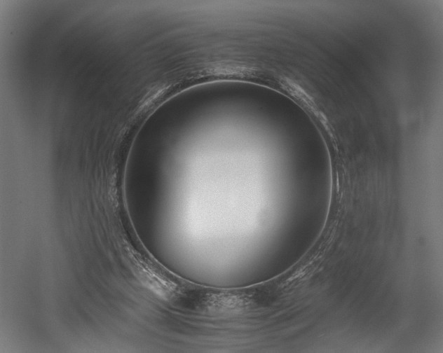 X0000052600249200507011204