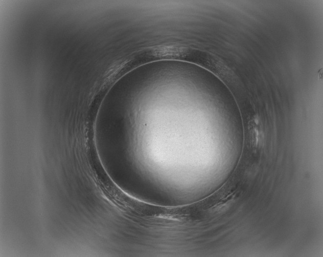 X0000052600255200507011204