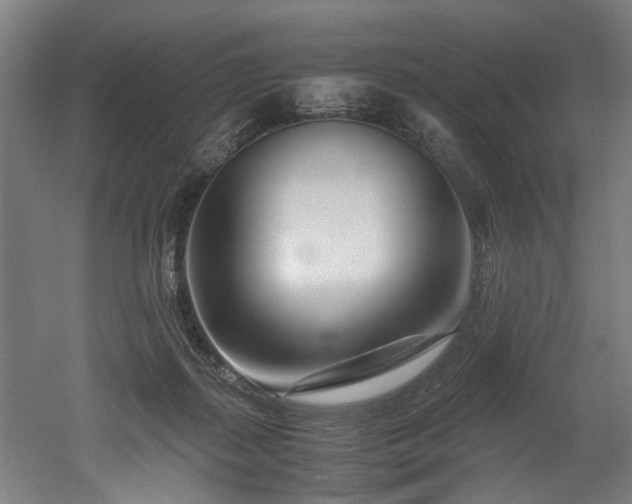 X0000052600267200507011204