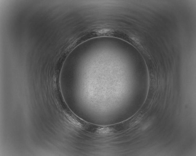 X0000052600269200507011204