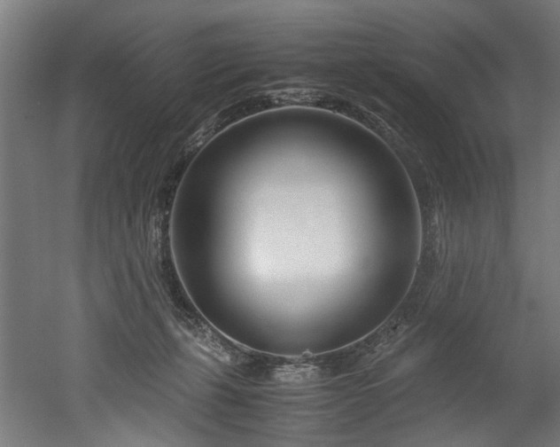 X0000052600271200507011204