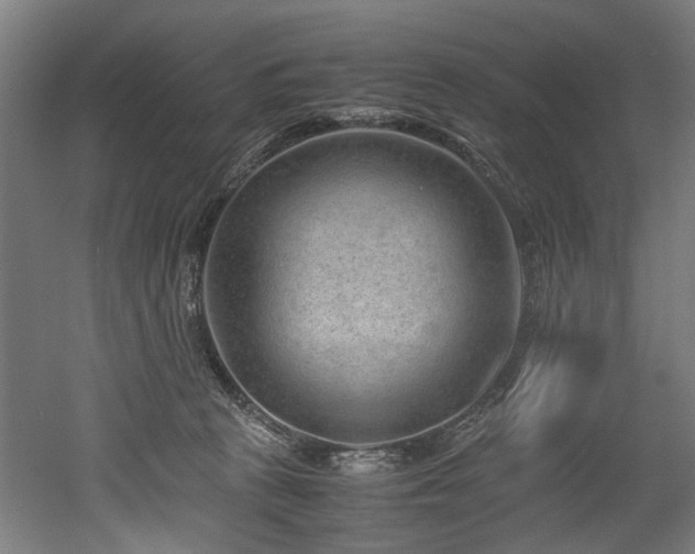 X0000052600273200507011204