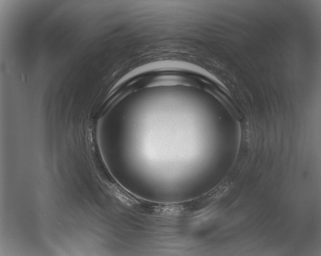 X0000052600282200507011204