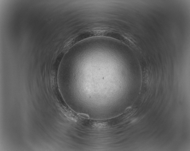 X0000052600283200507011205
