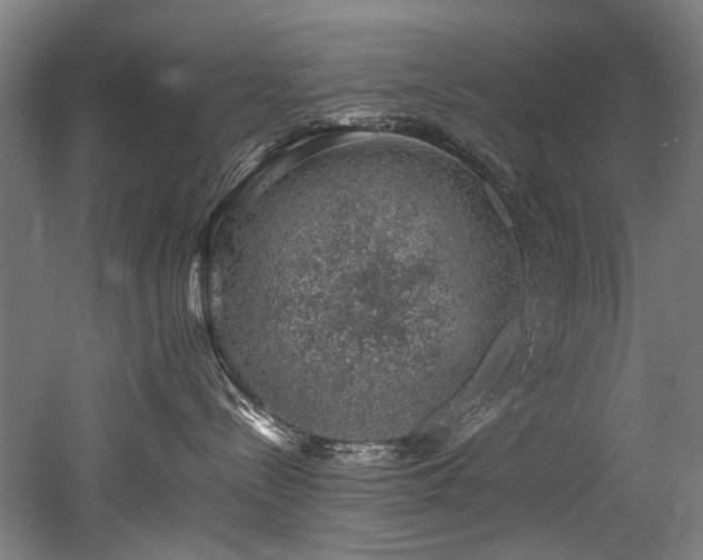 X0000052600288200507011205