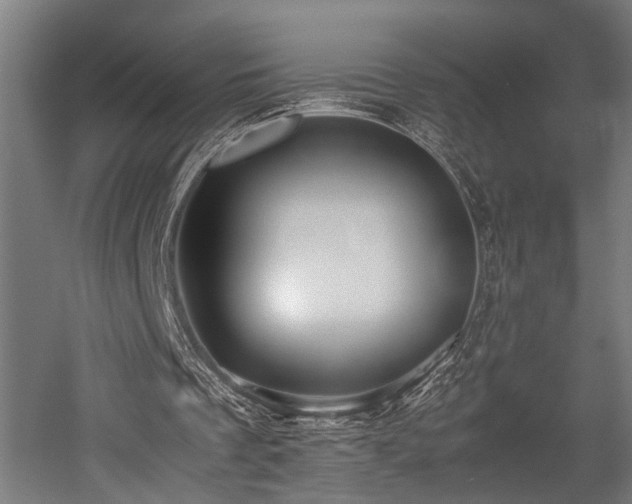 X0000052600289200507011204