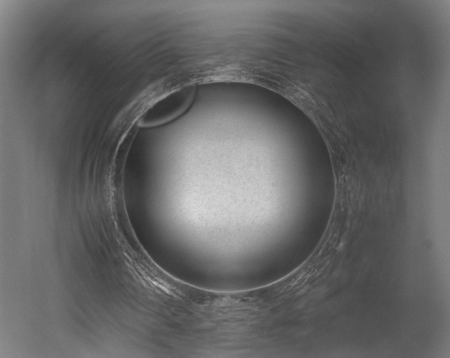X0000052600290200507011204