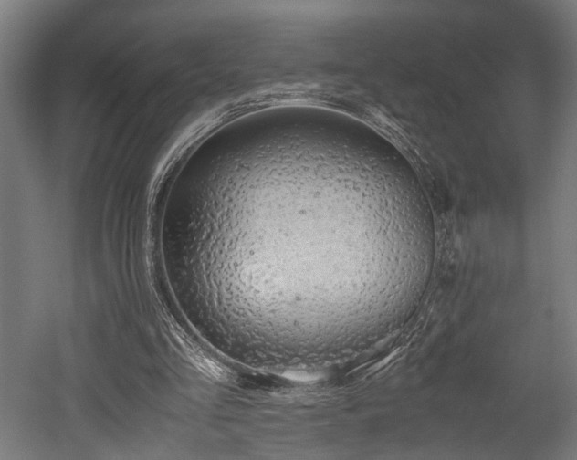 X0000052600293200507011204