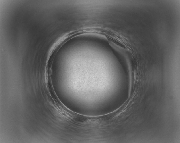 X0000052600294200507011204