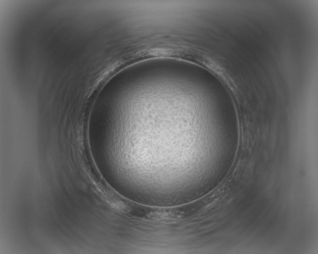X0000052600297200507011204