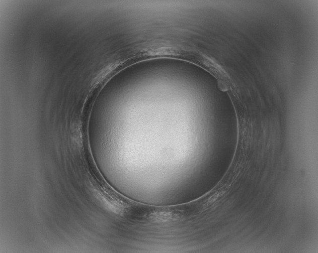 X0000052600298200507011204