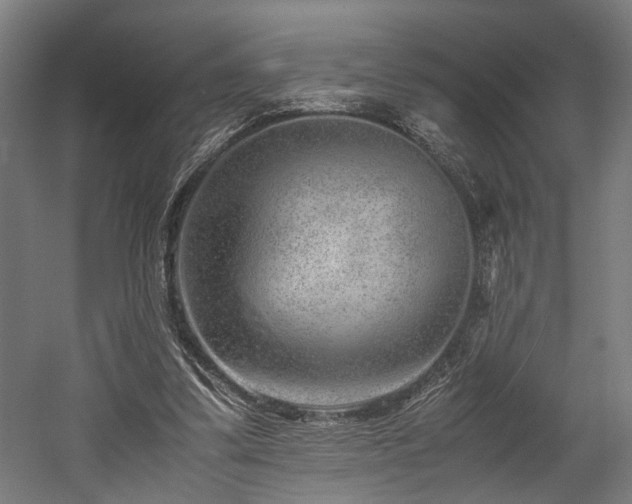 X0000052600299200507011204
