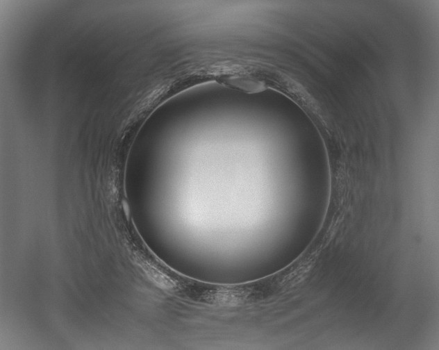 X0000052600305200507011203