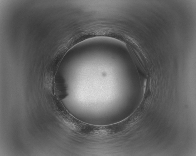 X0000052600307200507011203