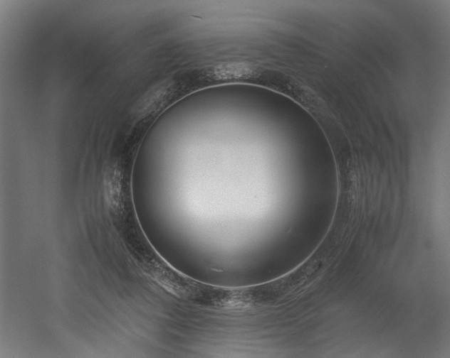 X0000052600308200507011203