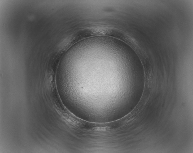 X0000052600314200507011203