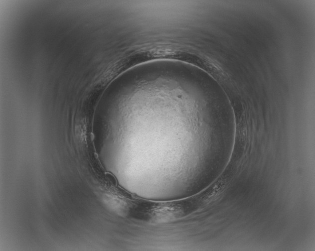 X0000052600315200507011203