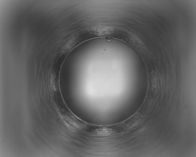 X0000052600316200507011203