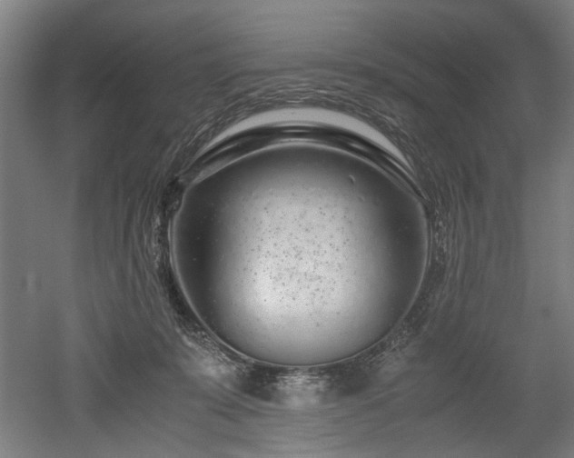 X0000052600319200507011203