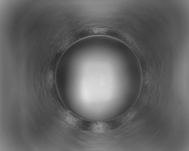 X0000052600321200507011203