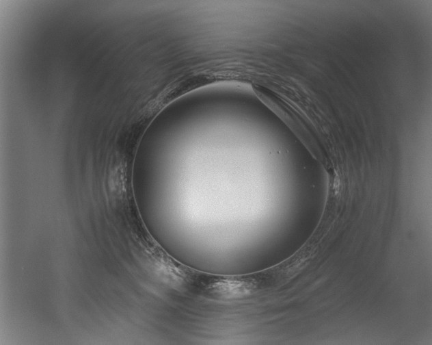 X0000052600326200507011203