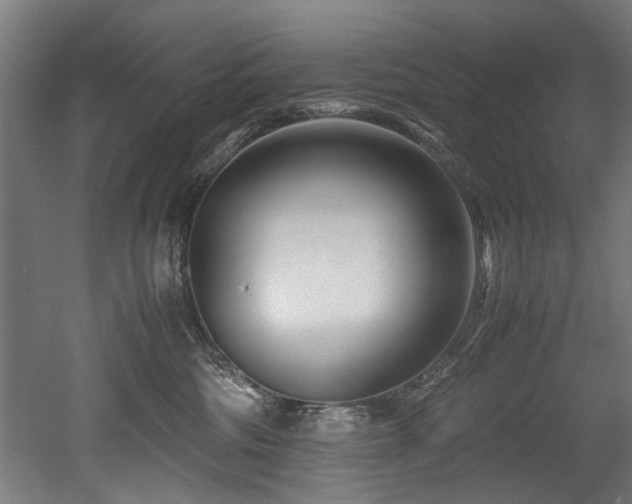 X0000052600330200507011203