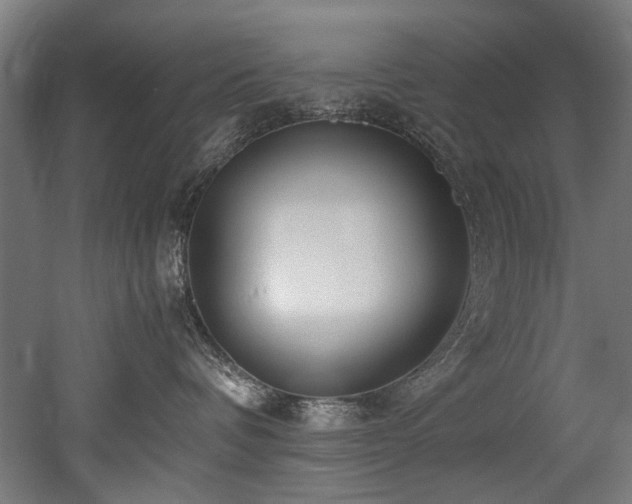X0000052600336200507011203