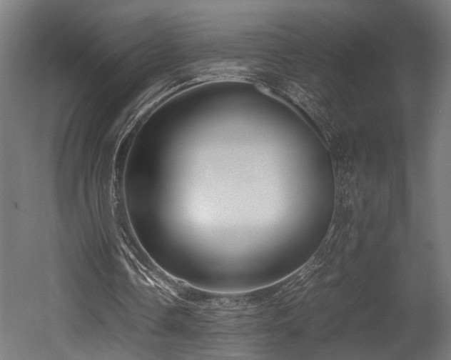 X0000052600338200507011202