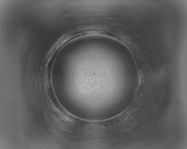 X0000052600339200507011202