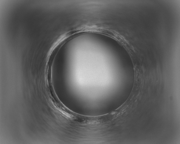 X0000052600344200507011202