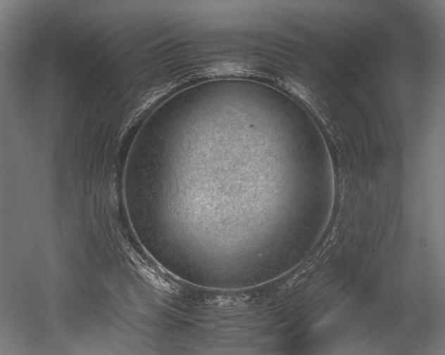 X0000052600345200507011202