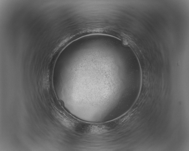 X0000052600346200507011202