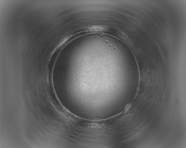 X0000052600347200507011202