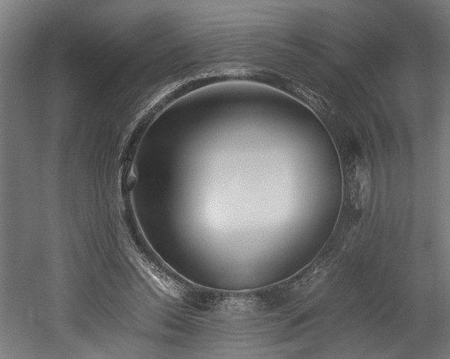 X0000052600350200507011202