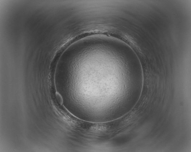X0000052600354200507011202