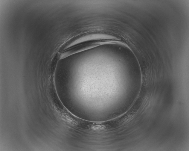 X0000052600355200507011202
