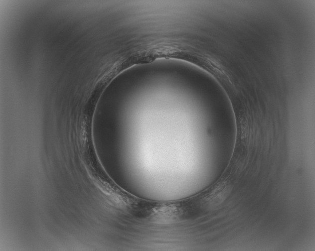 X0000052600362200507011203