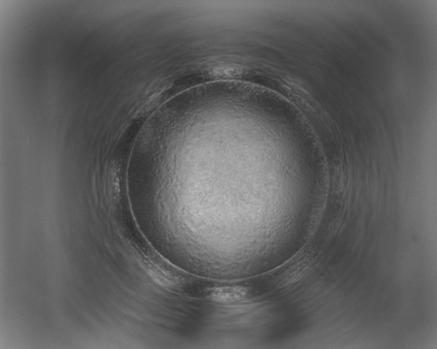 X0000052600363200507011203