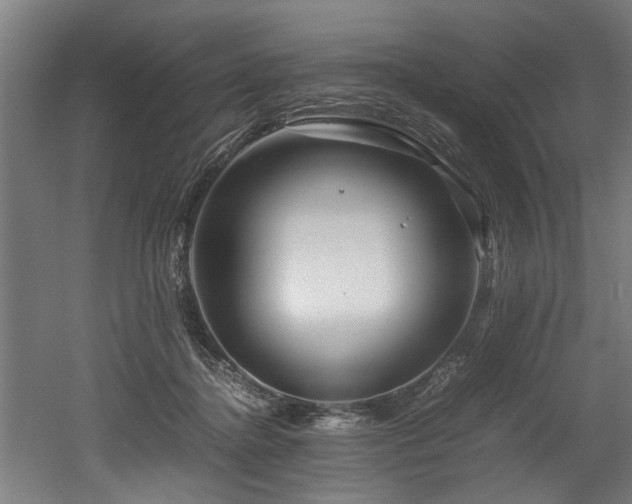 X0000052600364200507011203