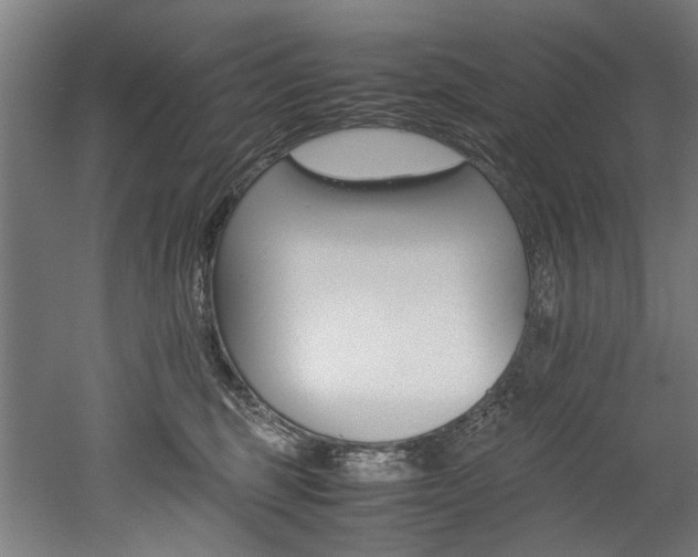 X0000052600375200507011203