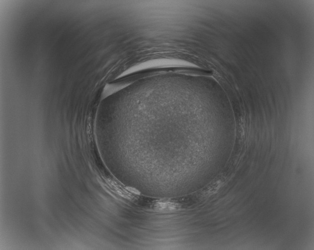 X0000052600376200507011203