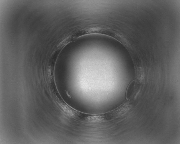 X0000052600378200507011203