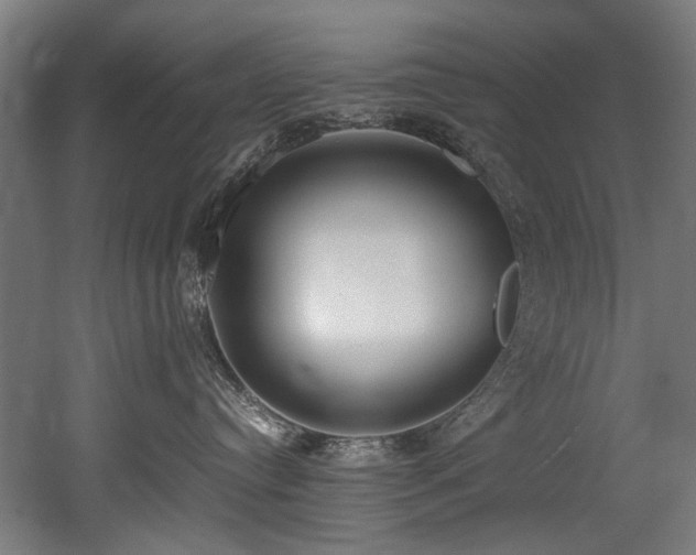 X0000052600384200507011203