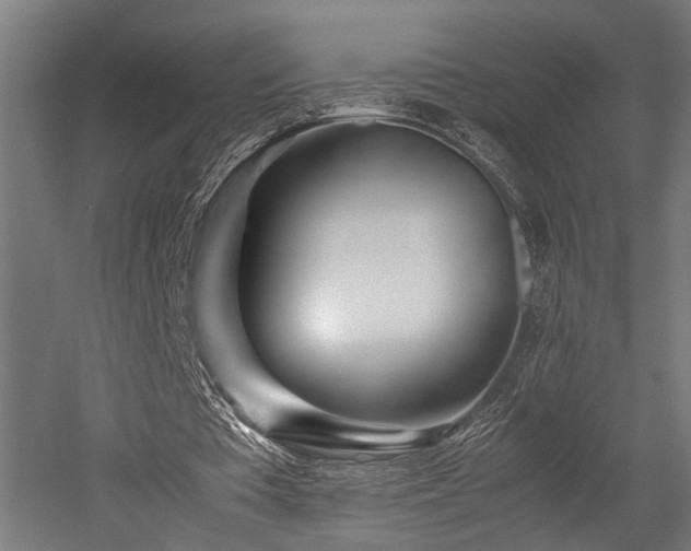 X0000052600385200507011202