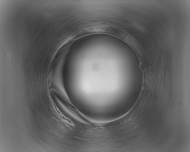 X0000052600386200507011202