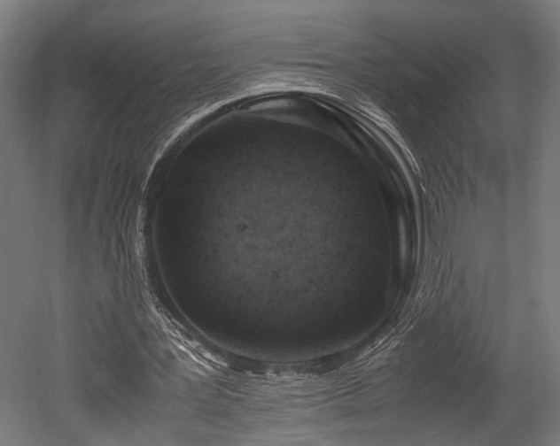 X0000052600387200507011202